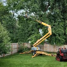 Best Lawn Irrigation Installation and Maintenance  in Bayport, NY