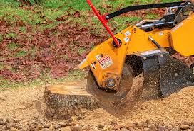 Best Lawn Grading and Leveling  in Bayport, NY