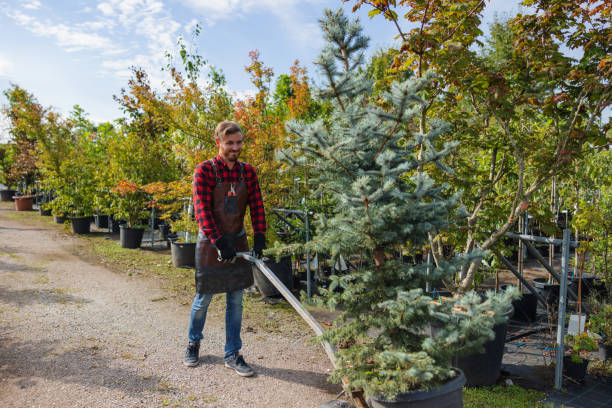 Best Fruit Tree Pruning  in Bayport, NY
